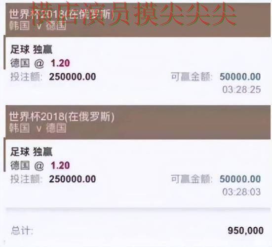 世界杯买球平台推荐：聚焦实时直播与赛事直播体验 - 世界杯官方信息